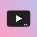 MkvPlayer Play Video Subtitle APK