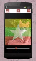 download World Flag Face Photo Maker APK