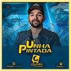 Unha Pintada - Músicas Novas (2020) Sem Internet icône