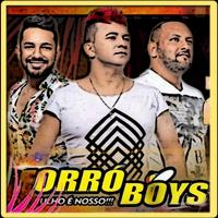 Banda Forro Boys - Música Novas (2020) Affiche