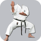 Karate Photo Frame Maker-icoon