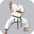 Karate Photo Frame Maker آئیکن