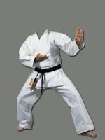Karate Photo Frame Maker-poster