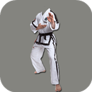 Taekwondo Photo Frame Maker aplikacja