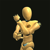 Wing Chun Trainer icono