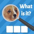 Zoom Quiz: Close Up Pics Game, Guess the Word