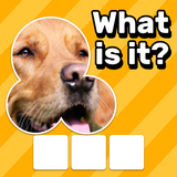 Zoom Quiz: Close Up Pics Game APK