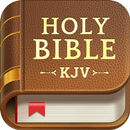 Holy Bible - KJV & Prayer APK