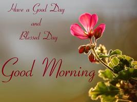 Good Morning Images imagem de tela 3