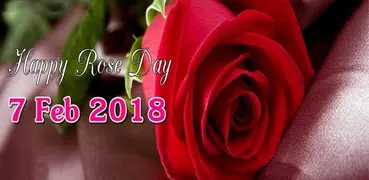 Rose Day Gif & Images
