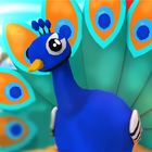 adopte peacock icône