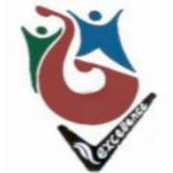 Excellence Navodaya Coaching Classes Shamshabad