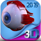 Human eye anatomy 3D 아이콘