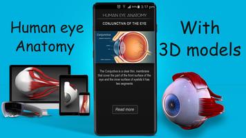 Human eye anatomy 3D Cartaz