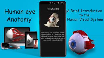 Human eye anatomy 3D capture d'écran 1