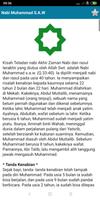 Kisah 25 Nabi dan Rasul imagem de tela 3