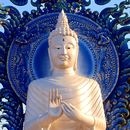 Gautama Buddha Quotes -  Photos  and Wallpapers APK