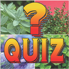 Gardening Quiz Ideas & Tips icône