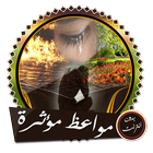 مواعظ ومحاضرات أيقونة