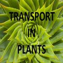 Transport In Plants Notes APK