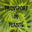 Transport In Plants Notes