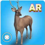 Animal Ar