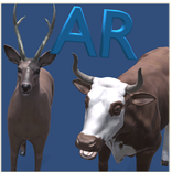 AR Animals - Using Ar Core