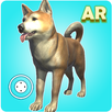 Dog play Ar APK