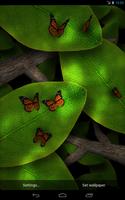 Tap Leaves Free Live Wallpaper Affiche
