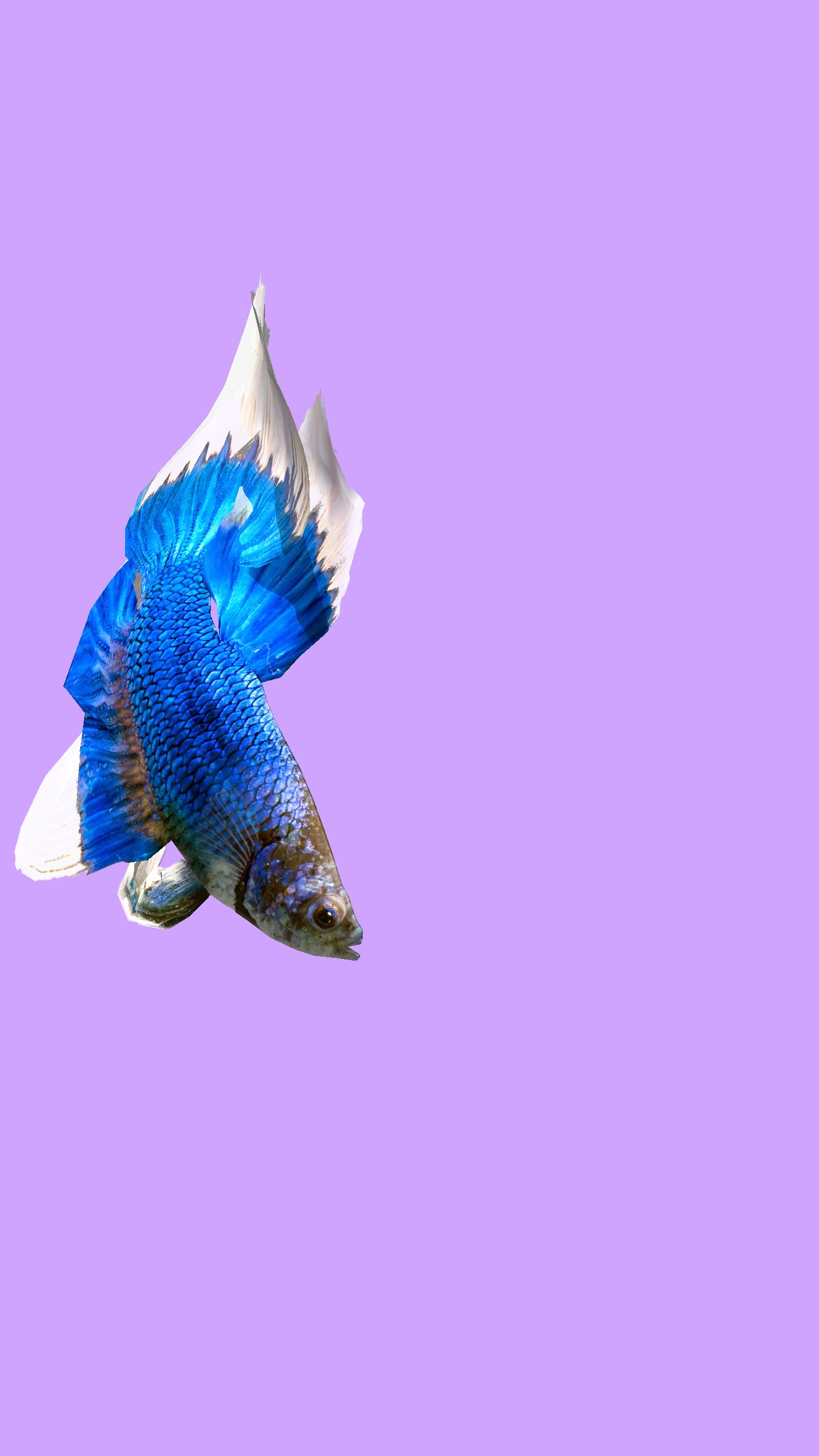 Betta Fish 3D - 3D Live Wallpaper für Android - APK herunterladen