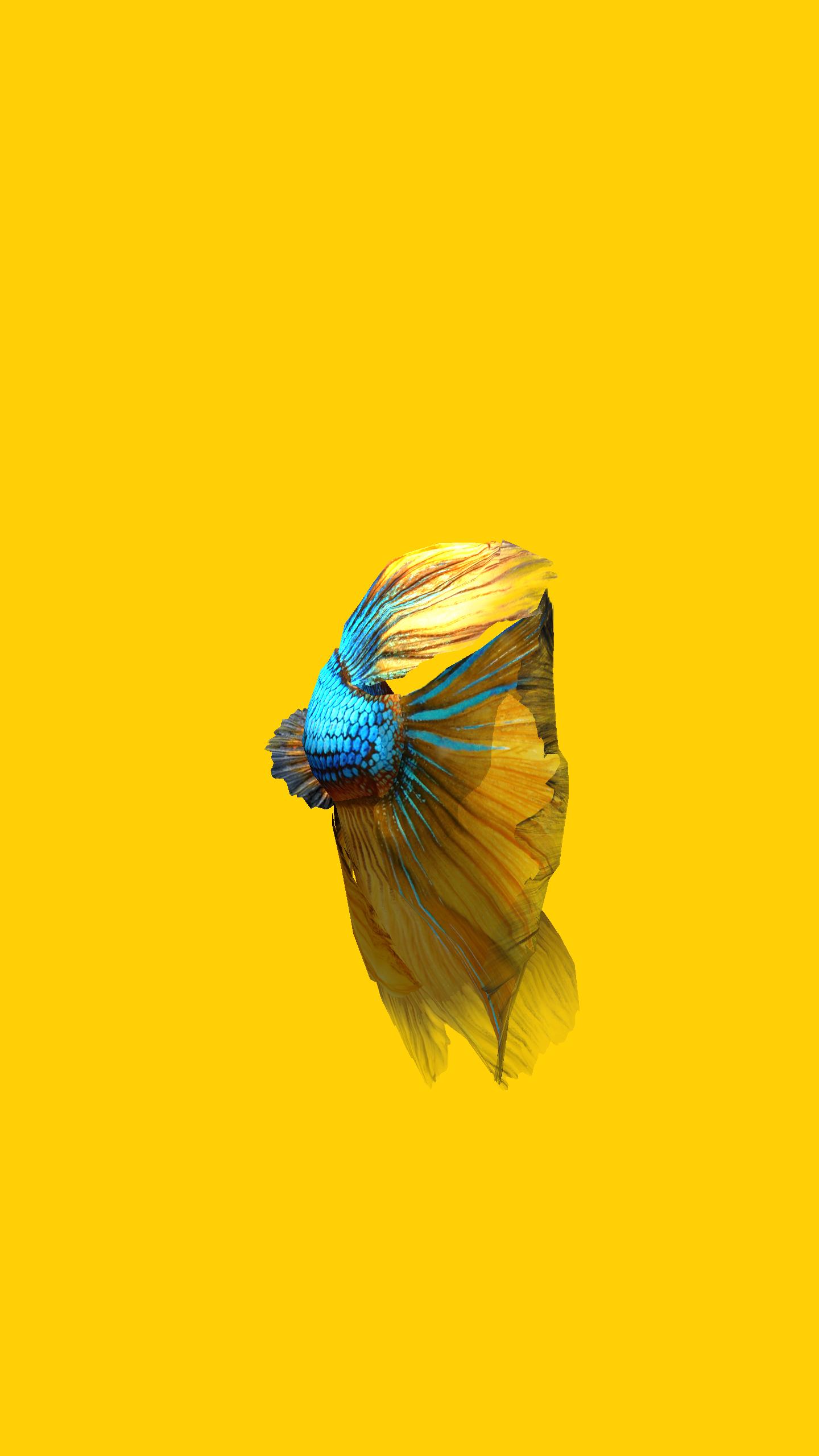 Betta Fish 3D - 3D Live Wallpaper für Android - APK herunterladen