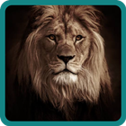 Lion Hero Game ícone