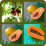 Fruits puzzle