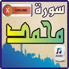 Surah Muhammad with audio иконка