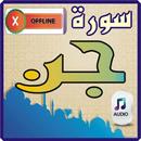 Surah Jinn APK