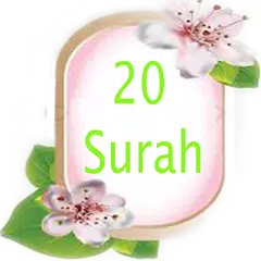 Gift of Last 20 Surah APK Herunterladen