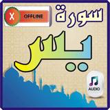 Surah Yaseen icon