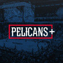 Pelicans+ APK