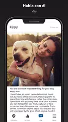 Descargar XAPK de Kippy