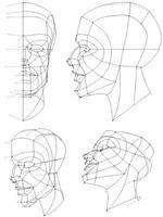 Face Drawing Step by Step 截圖 1