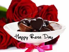 Happy Rose Day Images 스크린샷 1