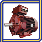 Machine synchrone module 2021 simgesi