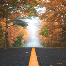 Road Wallpaper - Street Wallpaper APK