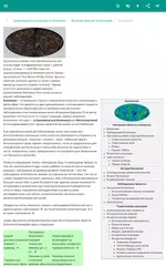 Скачать Астрономия XAPK