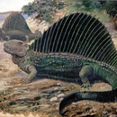 Paleozoic APK