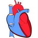 Cardiology APK