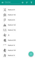 Hiéroglyphiques clés Affiche
