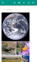 1 Schermata Ecologia