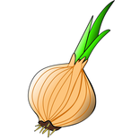 Onion