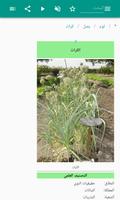 البصل تصوير الشاشة 3
